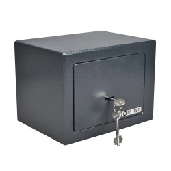 Safe Guard PS 2