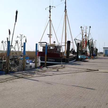 Gilotyna RC 466 - ZAPRASZAMY PO RABAT tel. 606-457-705