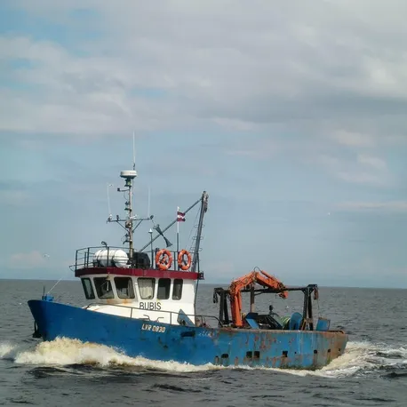 Gilotyna Argo JLS 298 A3 - ZAPRASZAMY PO RABAT tel. 606-457-705