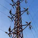 Zszywacz elektryczny Ideal 8520 - tel. 606-457-705 PROMOCJE ZAPRASZAMY