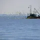 Gilotyna RC 440 S - ZAPRASZAMY PO RABAT tel. 606-457-705