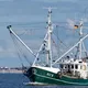 Gilotyna RC 466 T - ZAPRASZAMY PO RABAT tel. 606-457-705