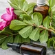 Olej do niszczarek Kobra 125ml - ZAPRASZAMY PO RABAT tel. 606-457-705