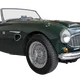 Trymer Neolt 100