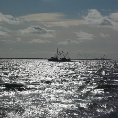Trymer Argo TA46 - ZAPRASZAMY PO RABAT tel. 606-457-705