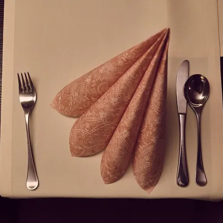 Okładki na dyplomy Elegant