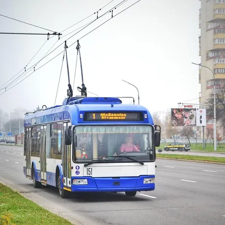 Gilotyna elektryczna Ideal 4315 - tel. 606-457-705 PROMOCJE ZAPRASZAMY